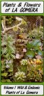 Plants and Flowers of La Gomera