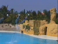 Loro Parque Photograph