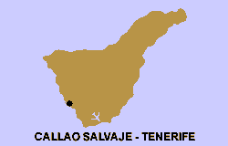 Tenerife Map - Location of Callao Salvaje