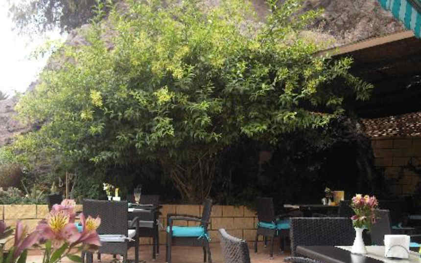 Flor-del-Drago-Restaurant Terrace
