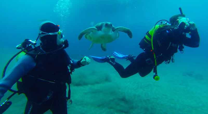 Scuba Diving - Diving Atlantis
