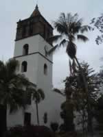 San Marcos Church Tower & Palm Trees