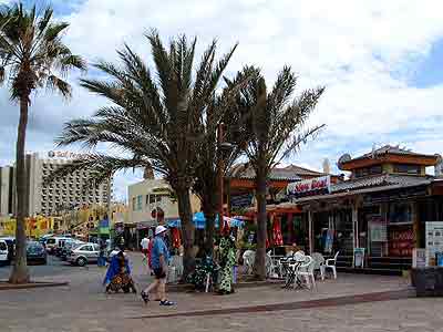 Playa de las Americas Bars Clubs and restaurants at Veronicas