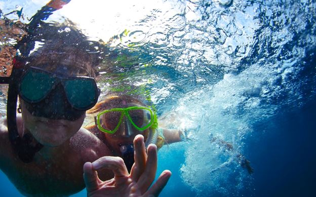 Whale Watching and Snorkeling