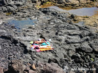 Playa de San Juan Sunbating on Rocks