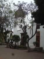 View of San Marcos Church through the trees