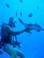 Ocean Diving Tenerife Dive Centre