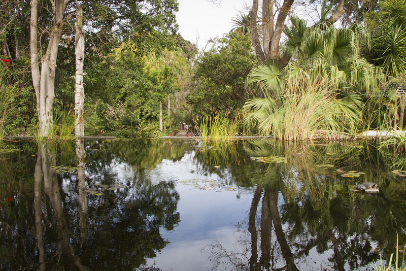 Botanical Gardens 